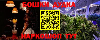 индика Заволжье