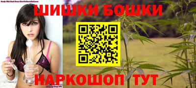 индика Заволжье